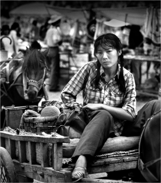 #103-005 A young woman captured in a pensive moment guarding her family’s pony cart at the village market. The pony cart is a combination of old and new. The wheels are spoked and feature modern rubber tires but the woodwork joinery of the wagon is reflective of old world skills handed down for centuries.