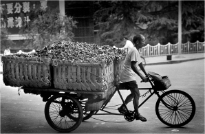 #110-013a With dignity, this tricycle hauler is taking water hyacinth to the country. Pigs grow fat on it. In America this plant is considered a nuisance that clogs waterways. The Raleigh bicycle was imported from England and imitated in Chinese factories. My wife’s grandfather owned a factory that manufactured a Chinese Raleigh. In the communist era, factories produced heavier bicycles than the Raleigh and were just one speed. Those are the sturdy bicycles that are seen with big hogs tied over the back wheel being hauled to market. The three-wheeled chain-driven cycle may have been invented in Southeast Asia. The Japanese used bicycle wheels to make rickshaws, which then were introduced to China. The efficiency of the Pedi cab drove out the rickshaw. The vehicle here is called a banche, and in 1979 it was being used as an ambulance, cargo carrier and as a passenger vehicle in the countryside.