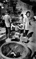 #122-003 The woman’s head covering in this 1979 photo indicates that this is in Suzhou in western China. Recent changes that had just taken place in government policies at this time allowing for limited free enterprise resulted in street vendors selling a huge variety of products including live animals. Live fish, chickens and ducks were found almost everywhere, as the Chinese are fanatics about their food being fresh. Even in later years when refrigerators became commonplace, food shopping remained a daily enterprise to ensure freshness.